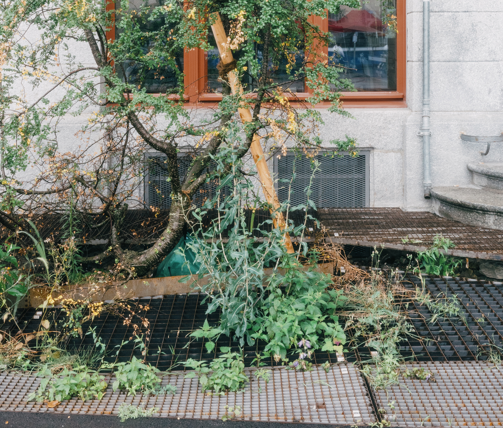 Stadtfront